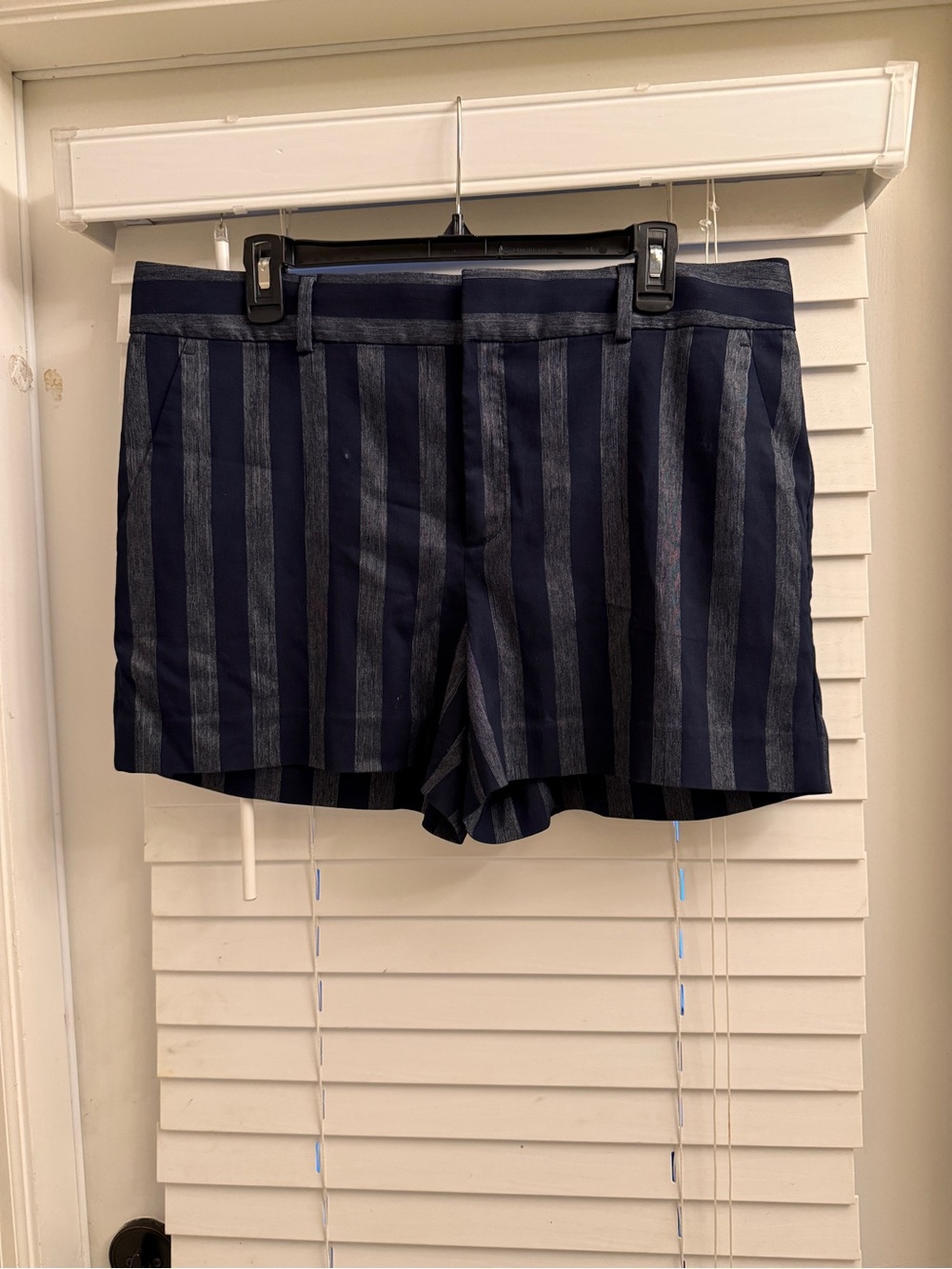 Banana Republic Navy and Blue Vertical Stripe Flat-Front Shorts